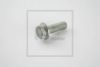 PE Automotive 030.053-00A Screw